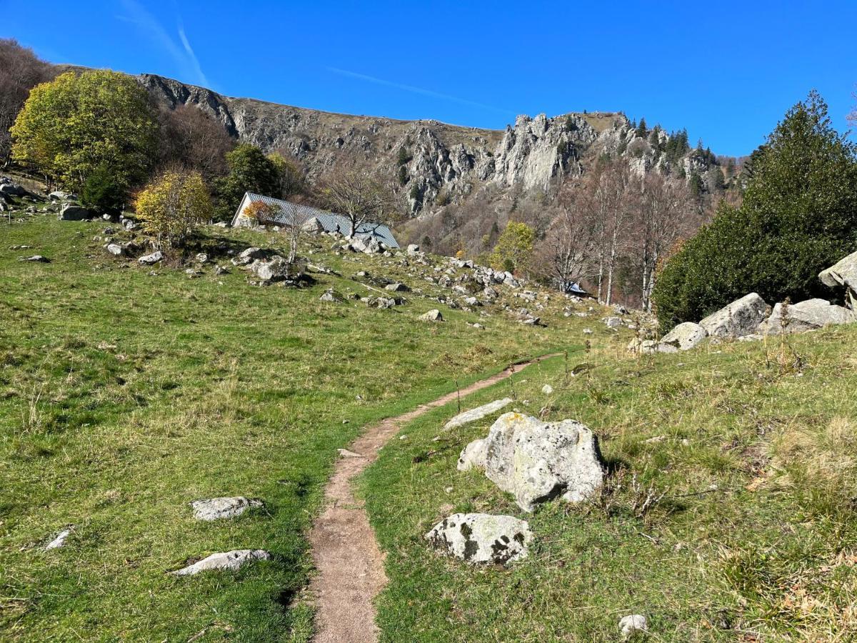 Gite De Montagne -Bellefosse Alsace Екстериор снимка