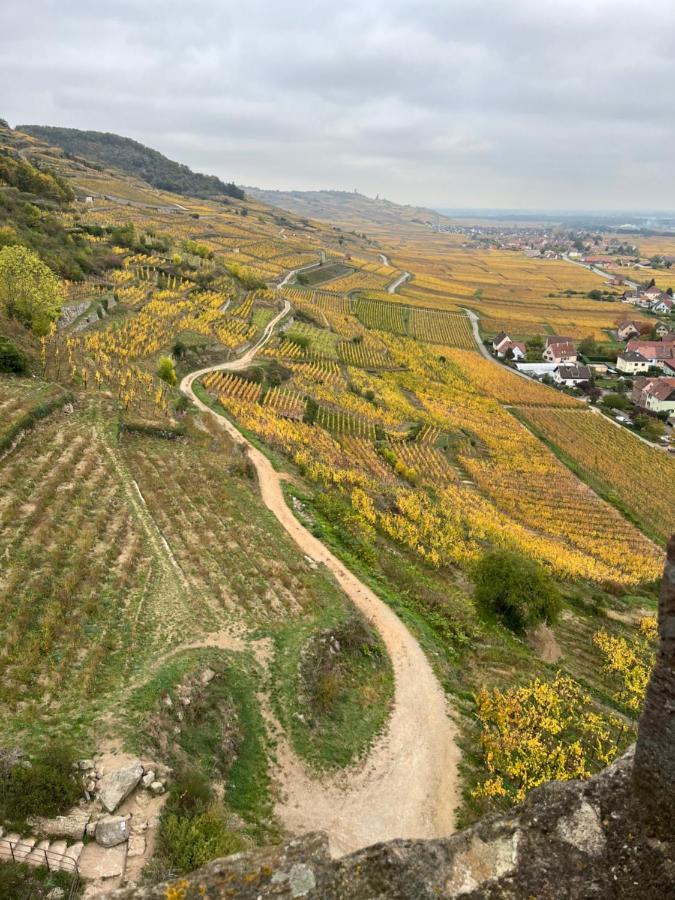 Gite De Montagne -Bellefosse Alsace Екстериор снимка