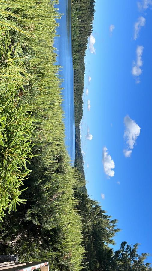 Gite De Montagne -Bellefosse Alsace Екстериор снимка