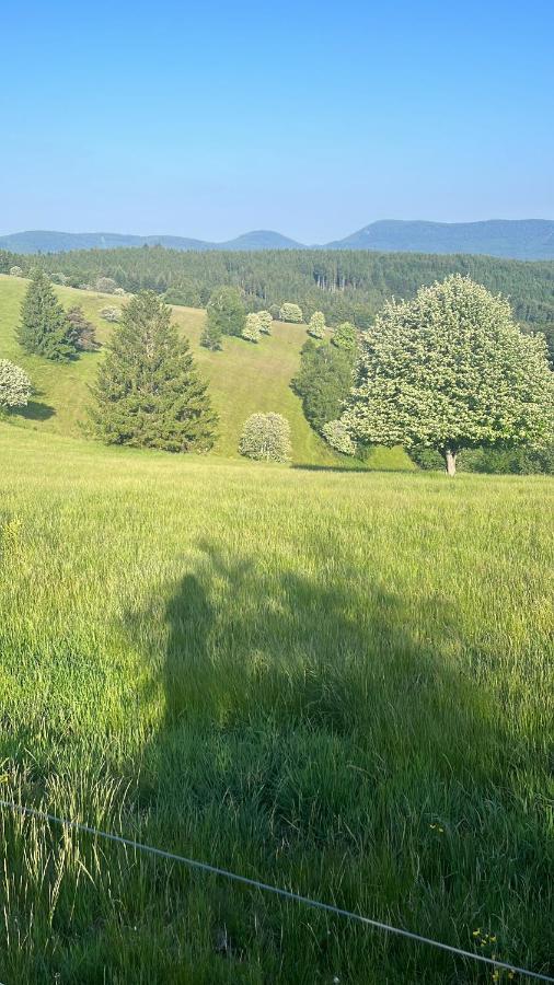 Gite De Montagne -Bellefosse Alsace Екстериор снимка
